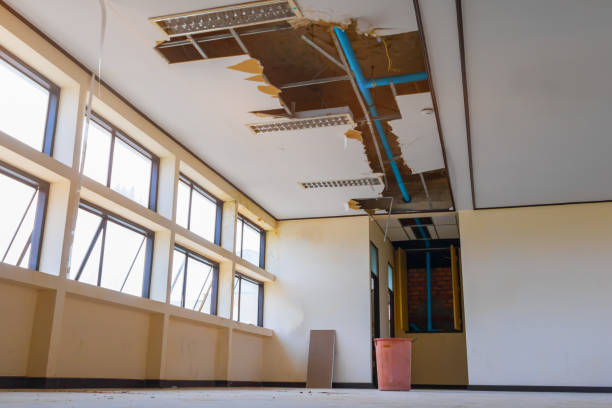 Best Fire Damage Restoration  in Shenandoah, IA