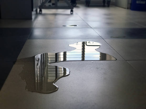 Best Commercial water damage restoration  in Shenandoah, IA