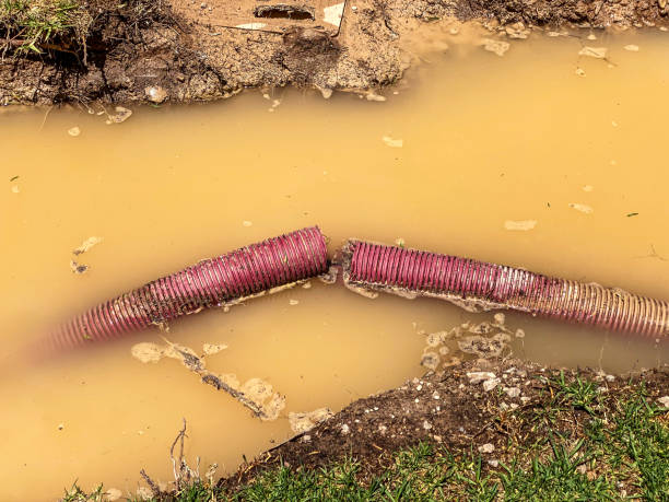  Shenandoah, IA Water damage restoration Pros
